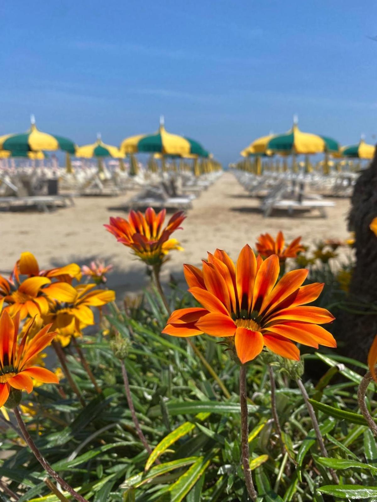 Rimini Bay Suites&Residence Exterior photo